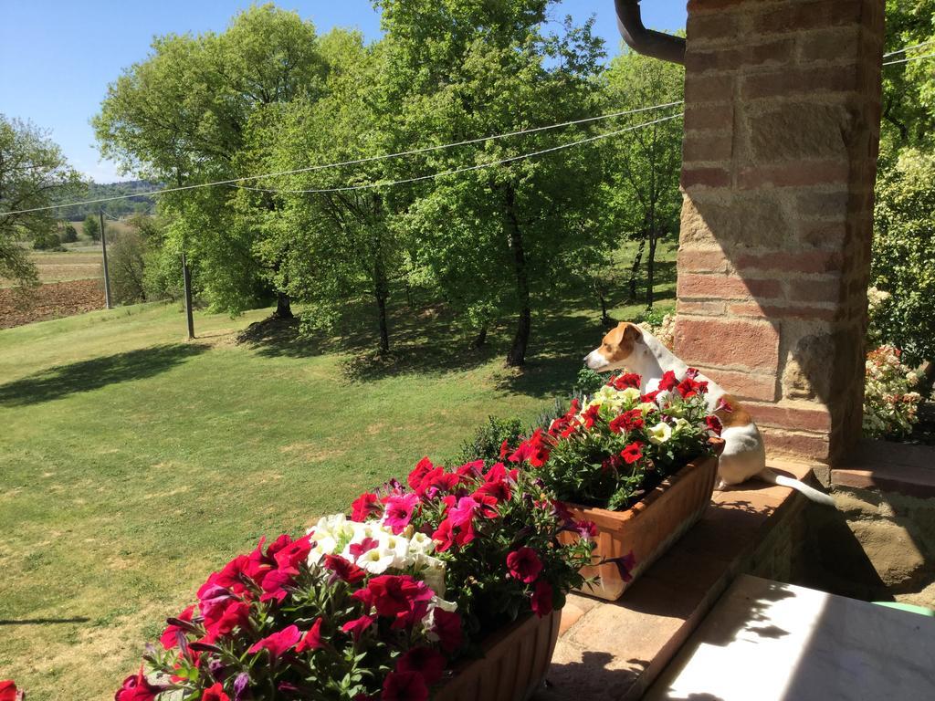 Appartamento La Berchiera Ciggiano Esterno foto