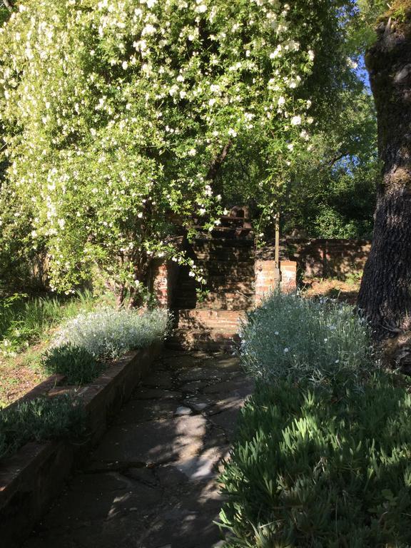 Appartamento La Berchiera Ciggiano Esterno foto