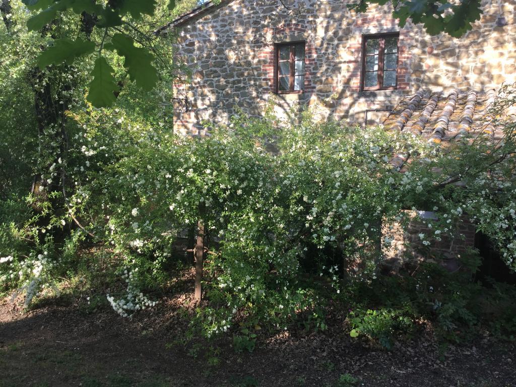 Appartamento La Berchiera Ciggiano Esterno foto